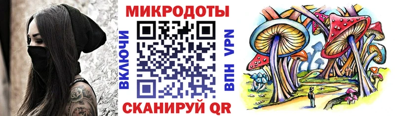 Купить где  Александров  Псилоцибиновые грибы Magic Shrooms 